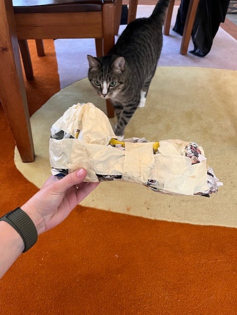 Zero the cat looking at paper mâché Halloween costume beginnings