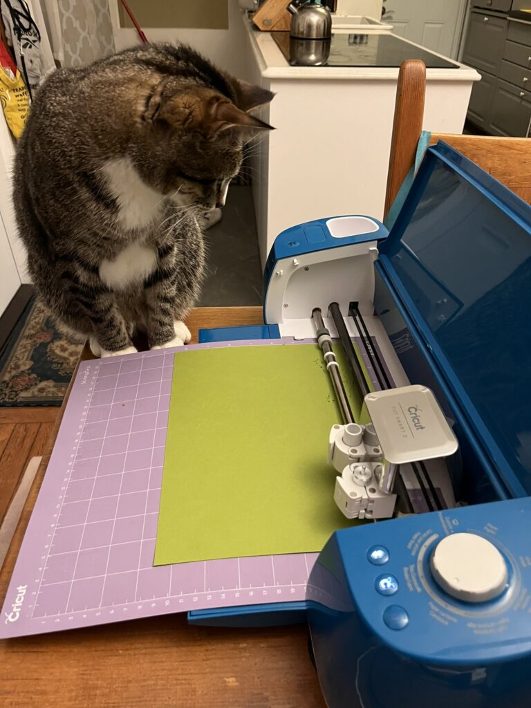 Zero watching the Cricut after our adventure