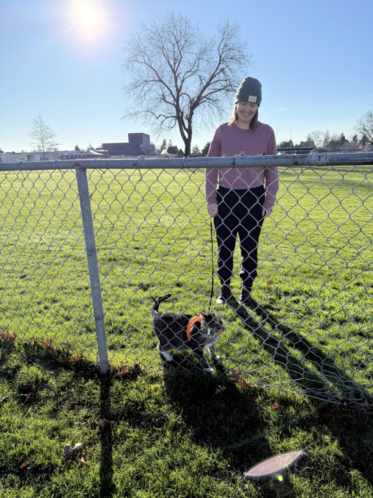 Lady walking a tabby cat on a leash in a big field behind a chain-link fence